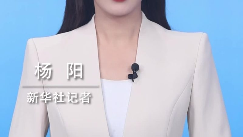 数据治理生命周期管理认证：企业数据安全的坚实基石